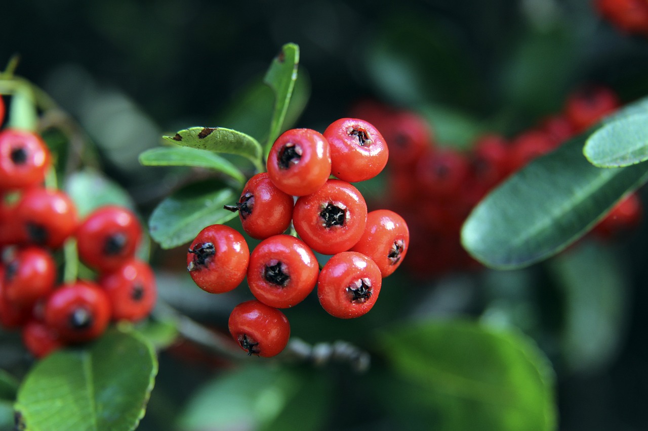 但这其实反 但这其实反