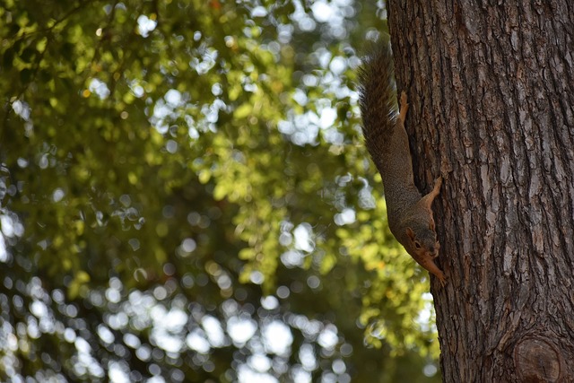 游戏产业的 游戏产业的