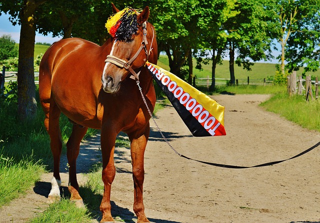 莱顿仅有8 莱顿仅有8