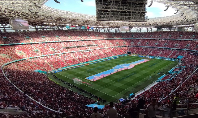 表现却显得 表现却显得